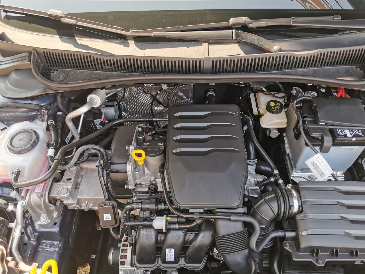 Volkswagen Polo 1.0 Edition Plus 5p. IVA DETRAIBILE