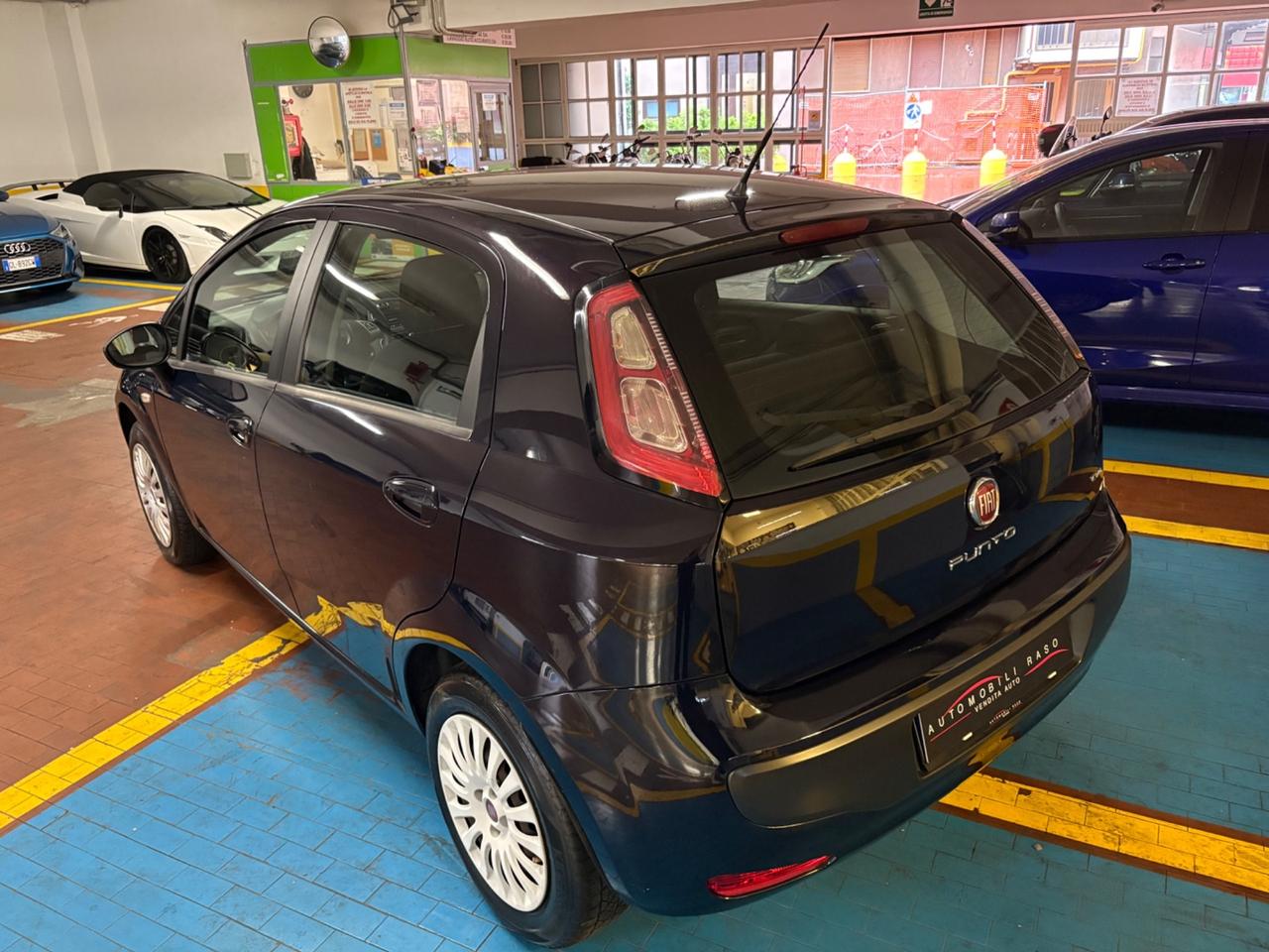 Fiat Punto Evo Punto Evo 1.2 5 porte Dynamic NEOPATENTATI...!!!!