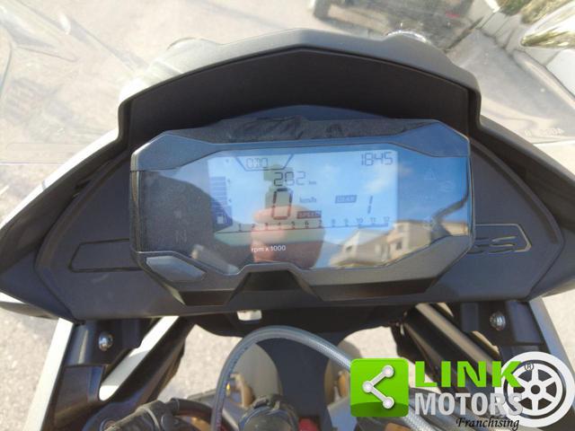 BMW G 310 GS rally
