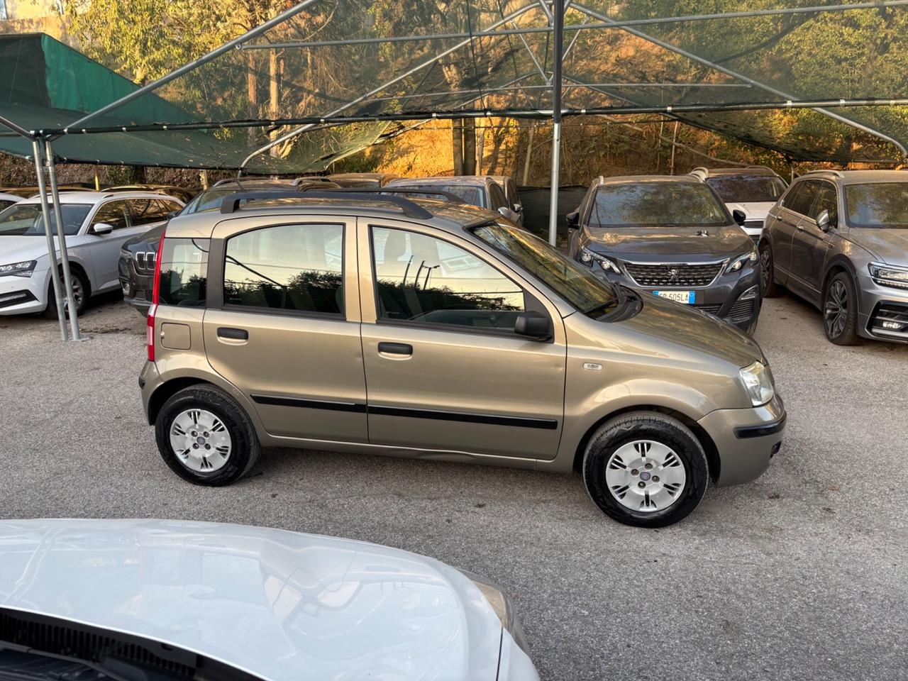 Fiat Panda 1.2 Dynamic OK NEOPATENTATI