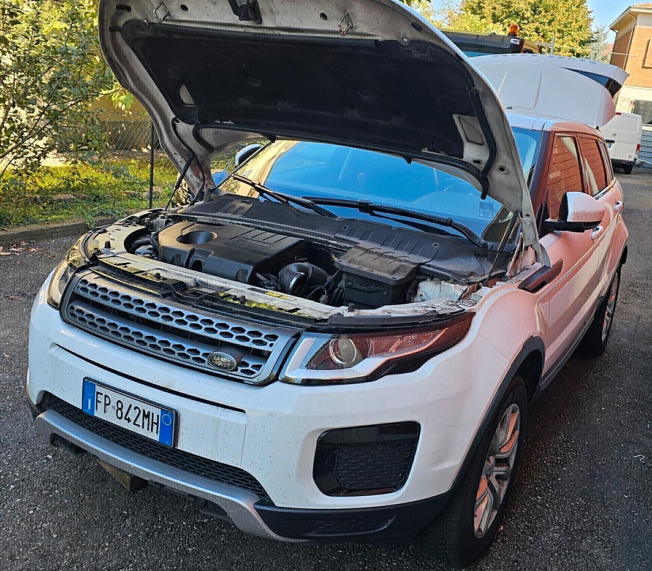 Land Rover Evoque 4x4 Unico proprietario