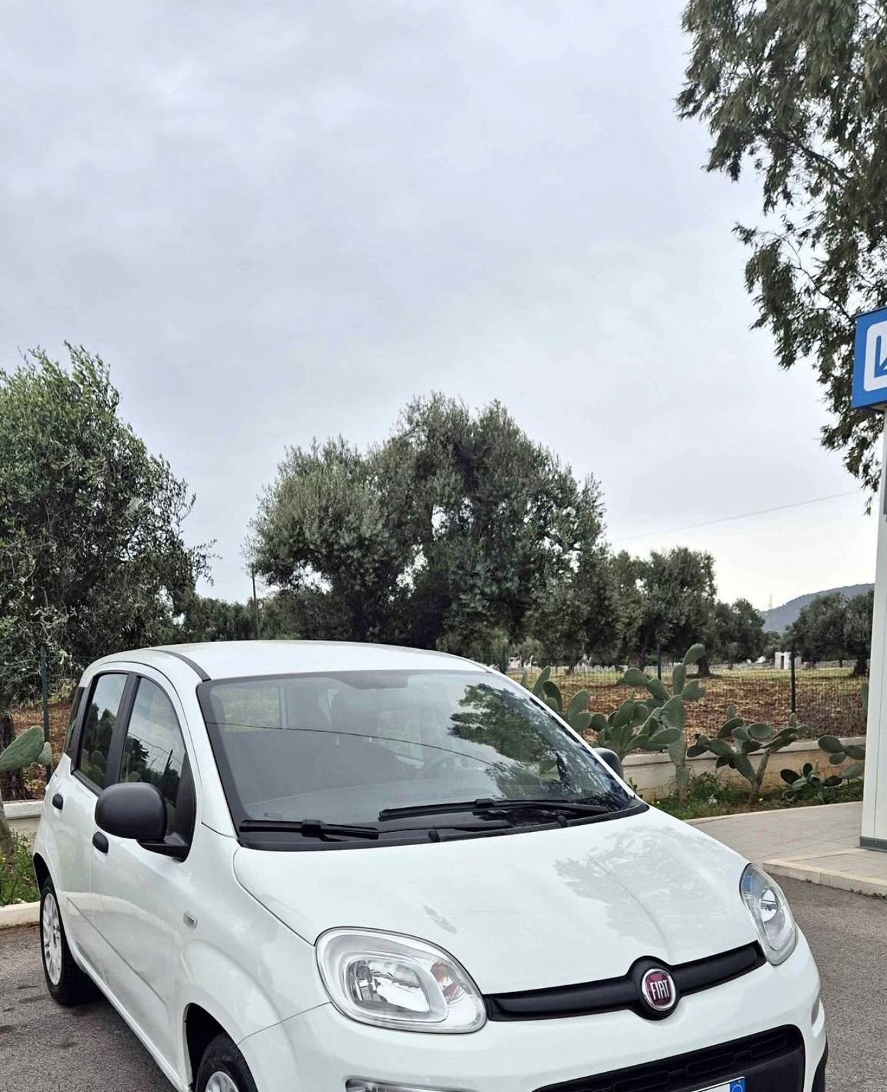 Fiat Panda 1.2 EasyPower Easy
