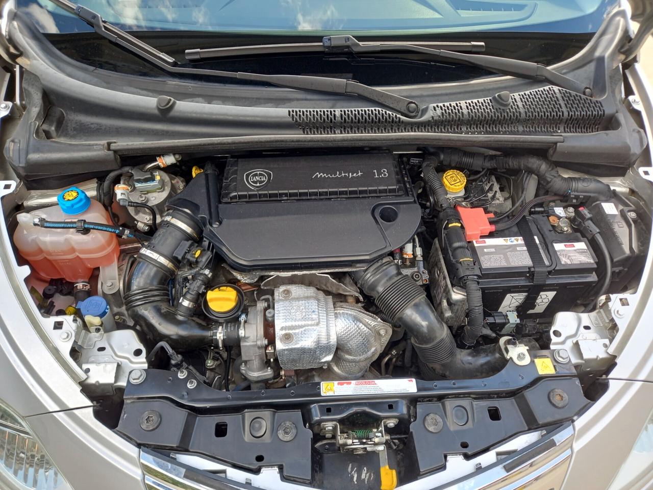 Lancia Ypsilon 1.3 MJT 16V 95 CV 5 porte S&S Platinum