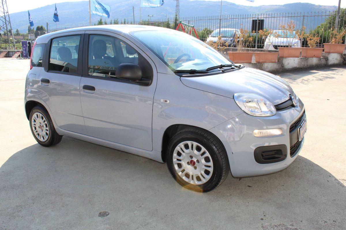 FIAT - Panda - 1.0 FireFly S&S Hybrid