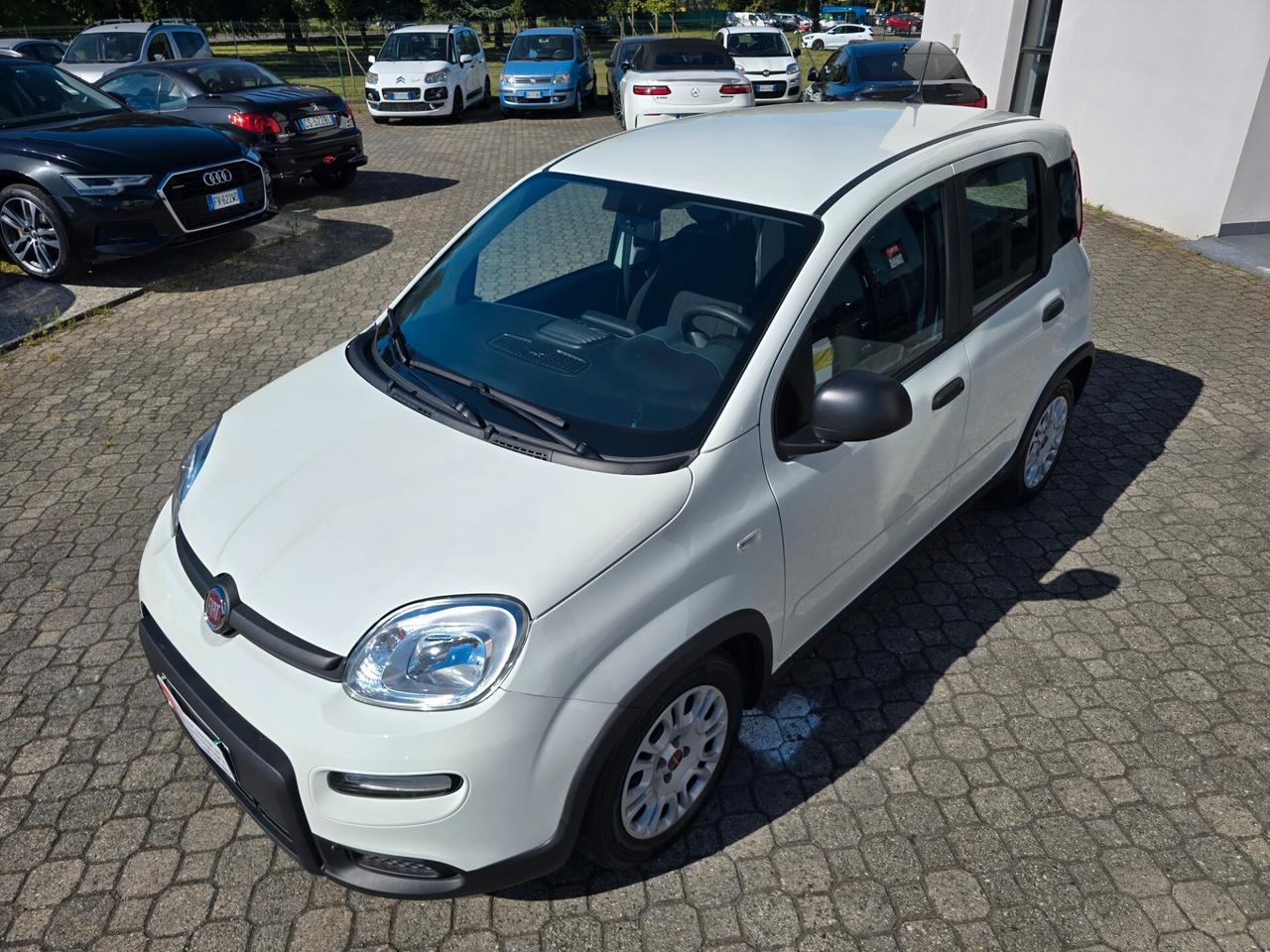 Fiat Panda Cross 1.0 Hybrid - BLUETOOTH