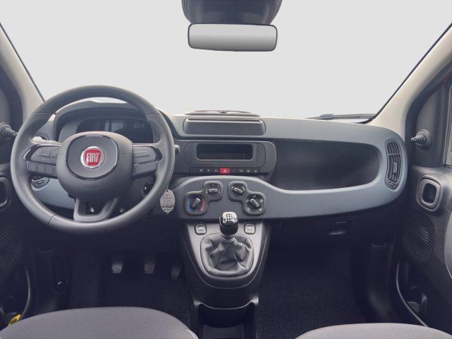 FIAT Panda Pandina 1.0 FireFly 65 CV Hybrid Pop