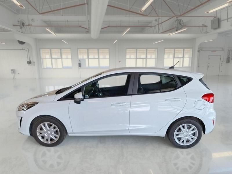 FORD FIESTA 1.5 EcoBlue 85CV Business 5 PORTE