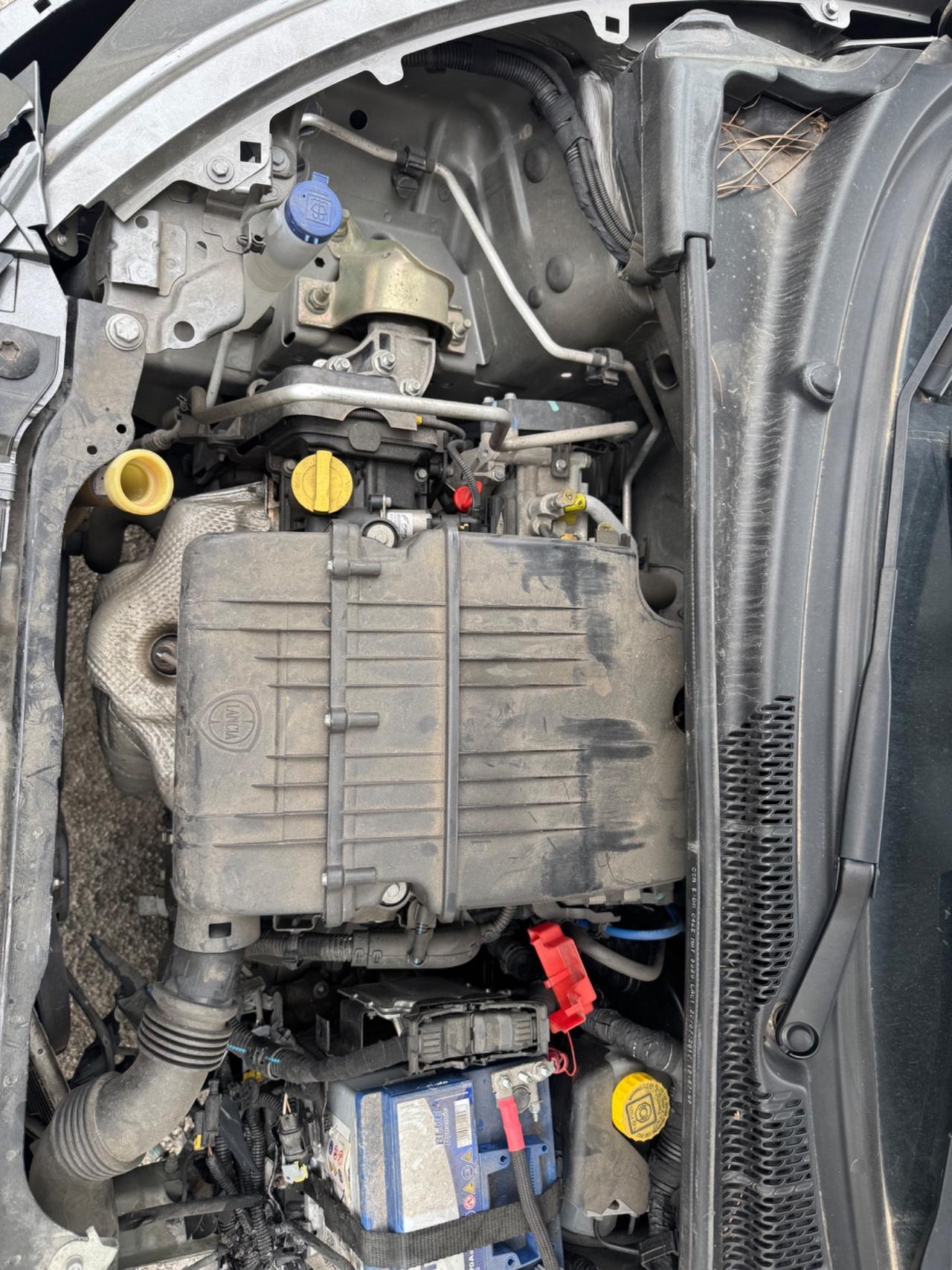 Lancia Ypsilon 1.2 69 CV 5 porte S&S Platinum