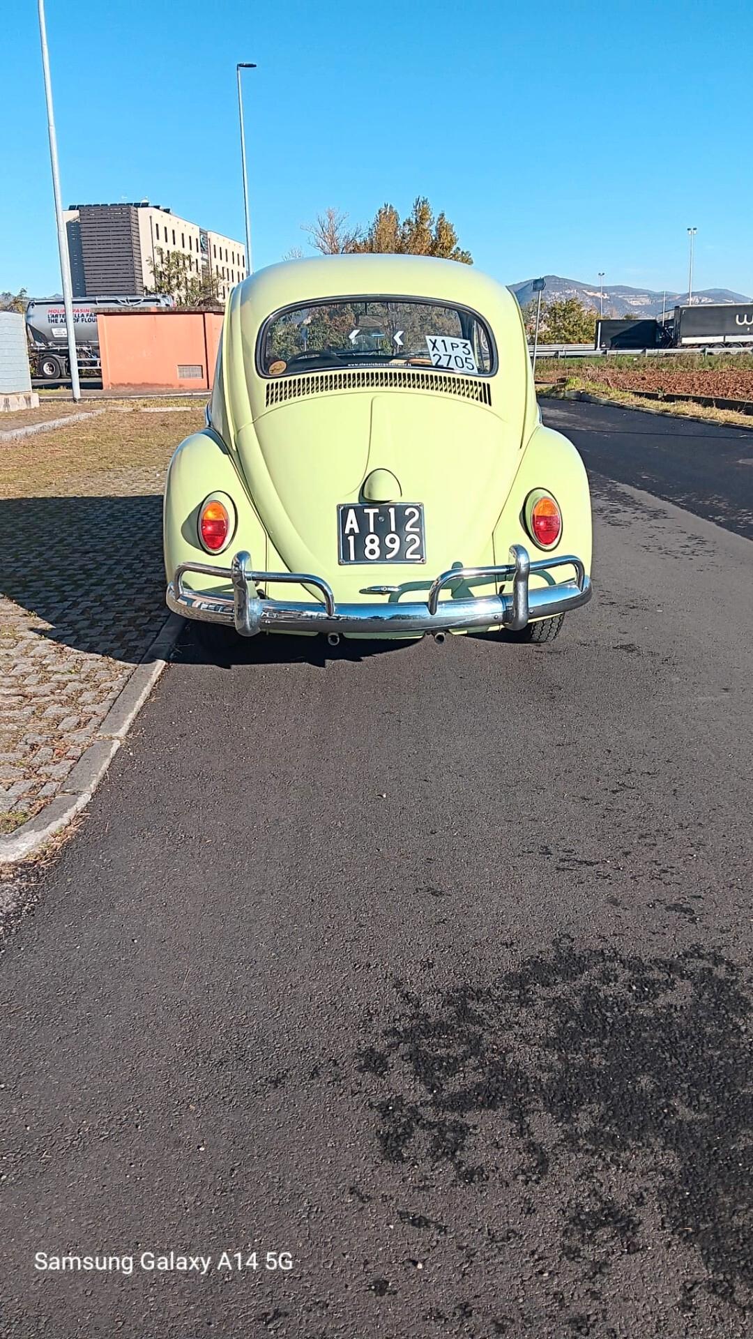 Volkswagen Maggiolino "Nasino"