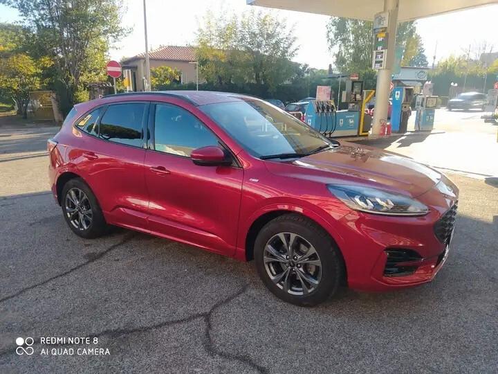 Ford Kuga 1.5 EcoBlue 120 CV 2WD ST-Line - OFFERTA DEL MESE