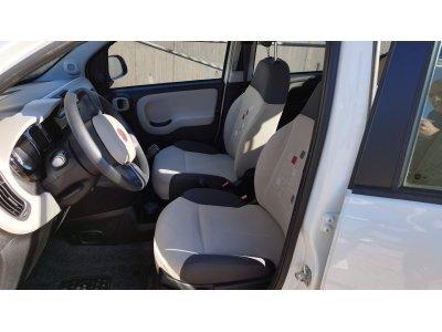 Fiat Panda LOUNGE