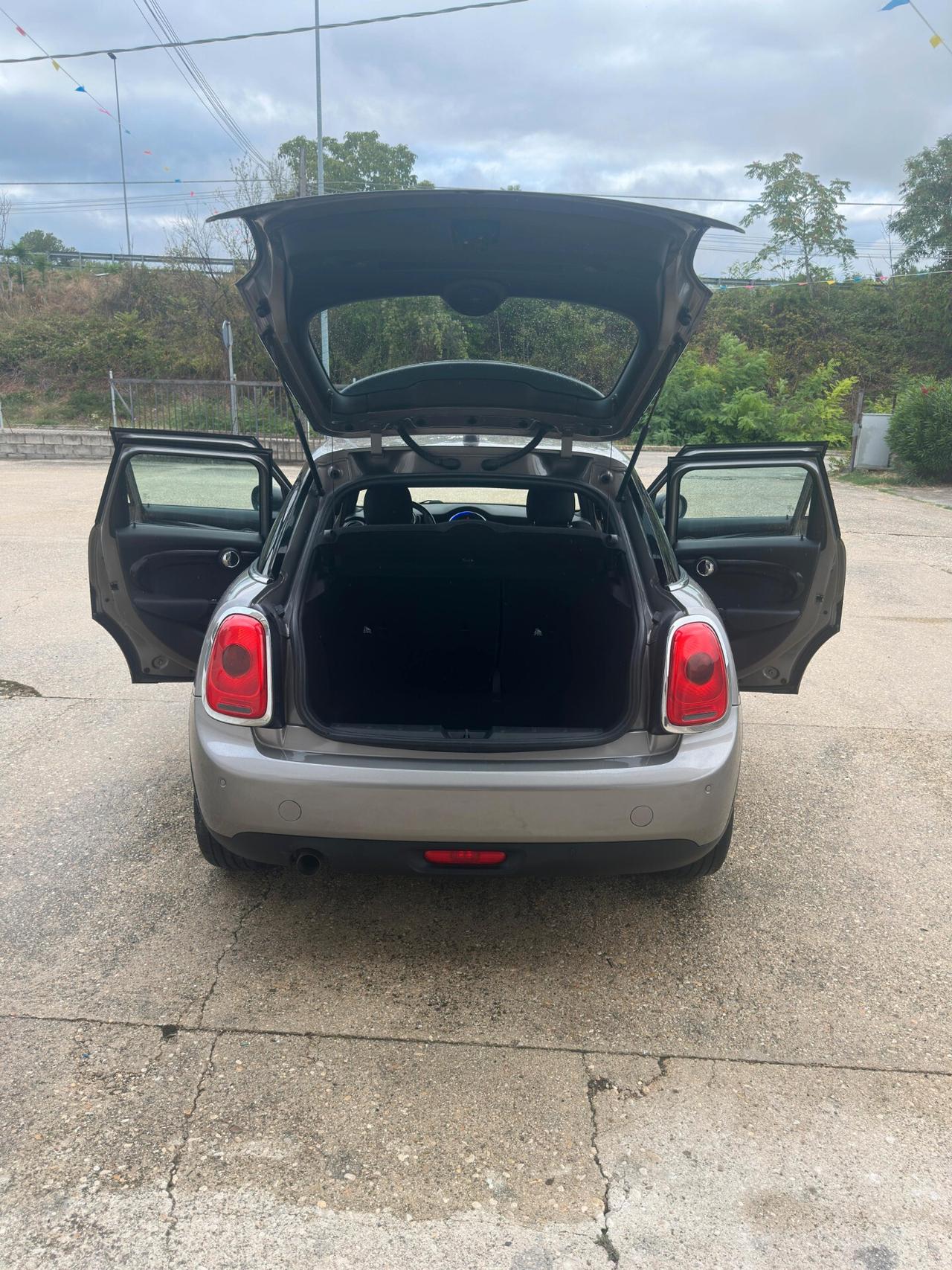 Mini 1.5 One D Hype