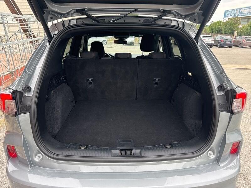 Ford Kuga 1.5 EcoBlue 120 CV ST-Line