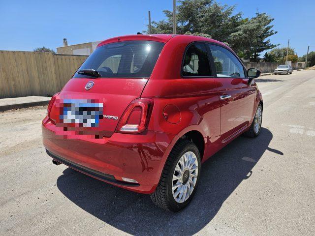 FIAT 500 1.0 Hybrid cult AUTOVETTURA