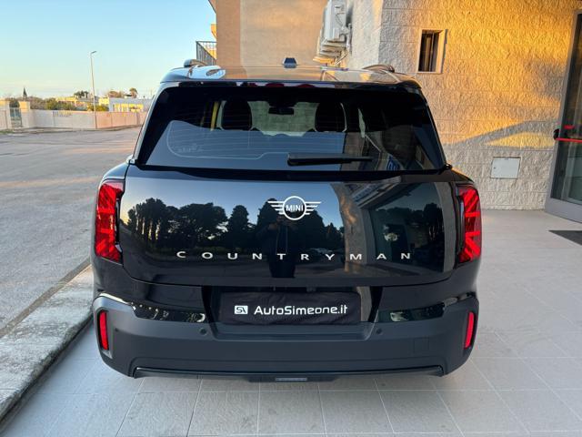 MINI Countryman D Classic Countryman CERCHI DA 19''