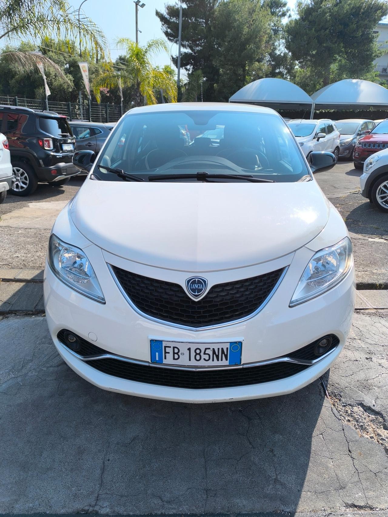 Lancia Ypsilon 1.3 MJT 16V 95 CV 5 porte S&S Platinum