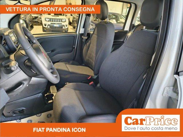 FIAT Pandina 1.0 FireFly 65CV Hybrid Icon (5 Posti)
