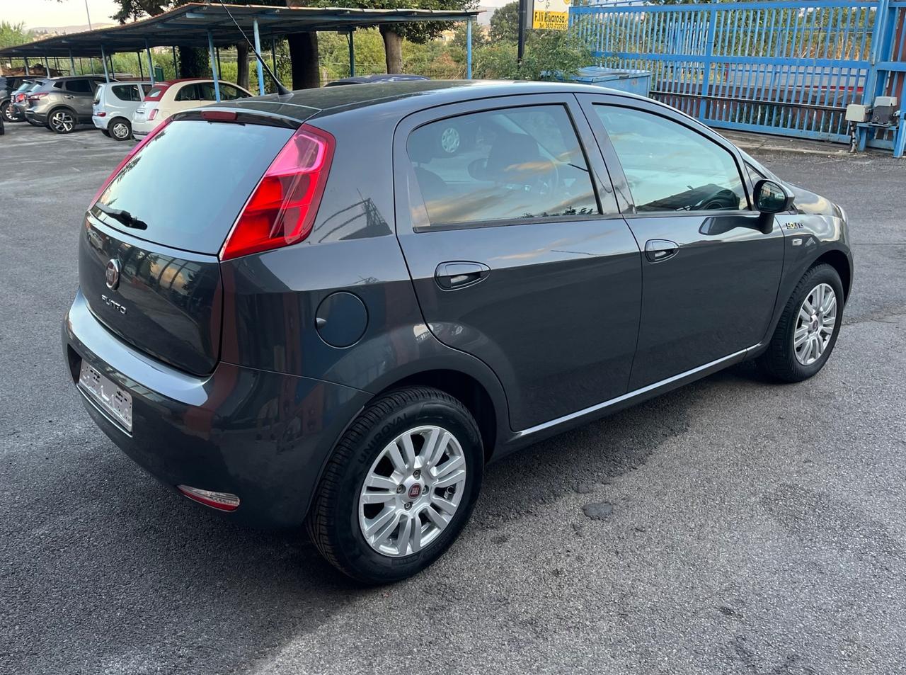 Fiat Punto 1.2 8V 5 porte Young-solo km 55900-