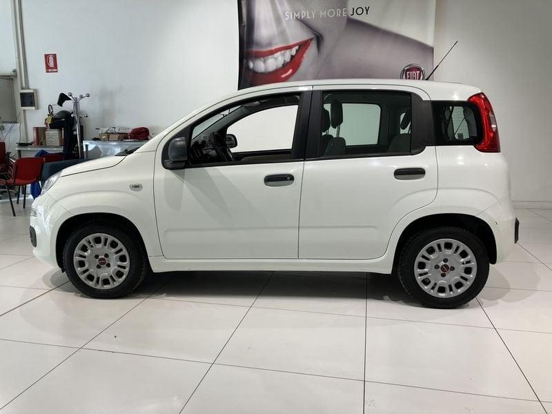 FIAT Panda Panda 1.2 Easy Van 4 posti €5000+iva