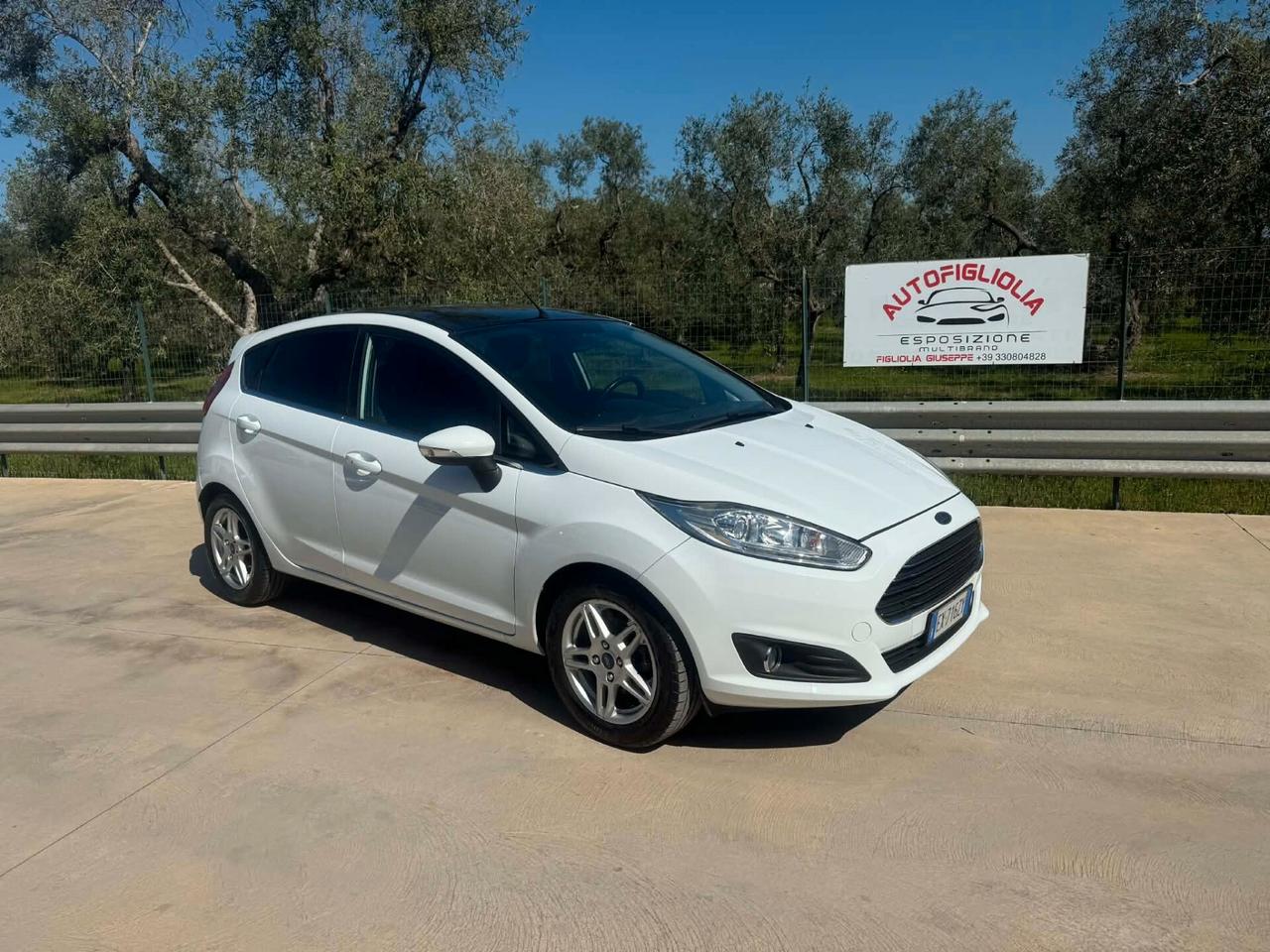 Ford Fiesta 1.5 TDCi 75CV 5 porte Titanium 2014