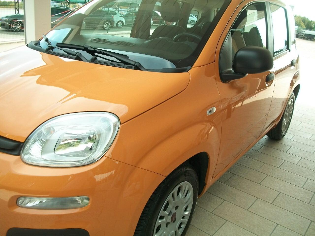 Fiat Panda 1.2 EasyPower Lounge NATA GPL DALLA CASA FIAT GARANZIA UN ANNO KM 76131,00