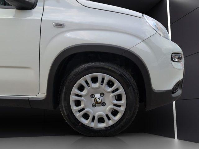 FIAT Panda 1.0 FireFly S&S Hybrid Pandina