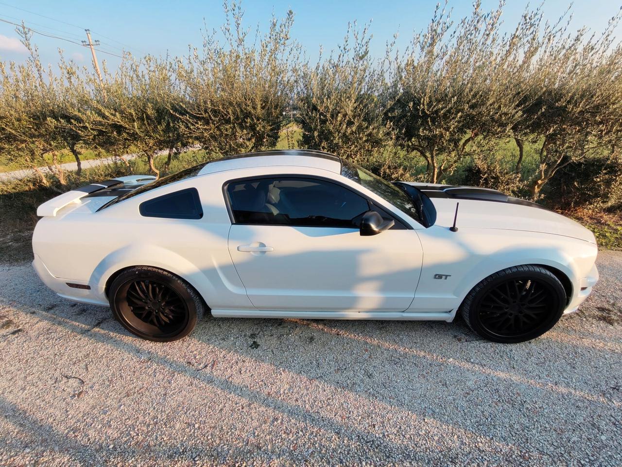 Mustang Ford GT 350 Shelby
