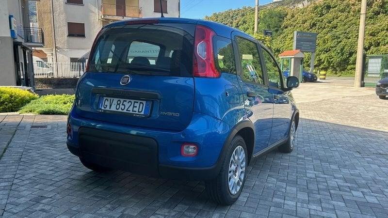 FIAT Panda 1.0 FireFly S&S Hybrid KM 0 **PREZZO REALE**