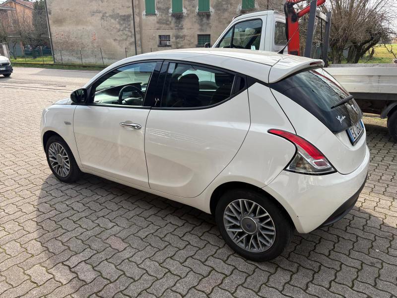 Lancia Ypsilon 5 Porte Ypsilon 1.2 8v Platinum 69cv OK NEOPATENTATO