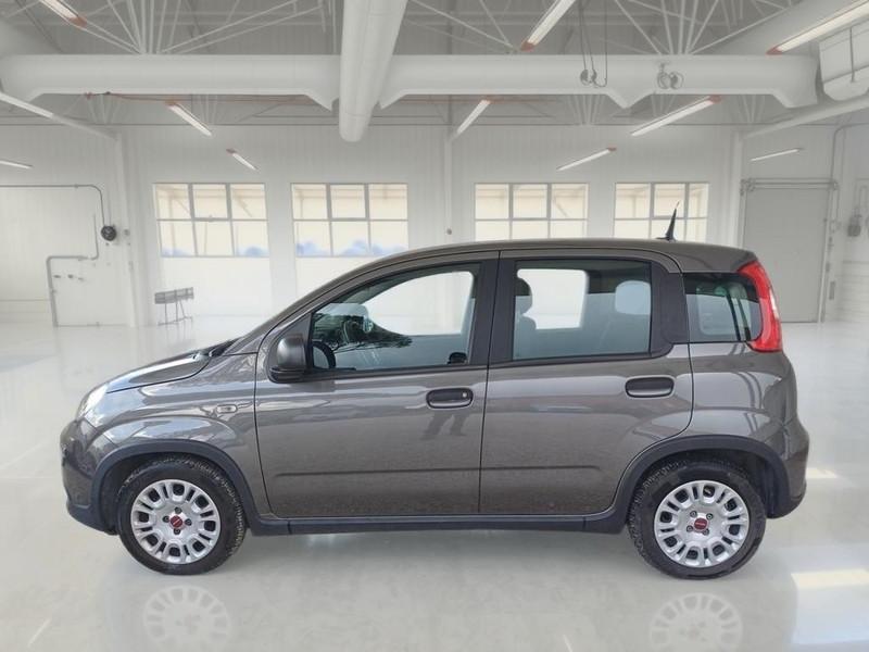 FIAT PANDA 1.0 FIREFLY 70 CV SES HYBRID 5 PORTE BERLINA