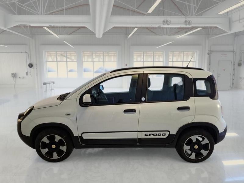 FIAT PANDA 1.0 70cv Hybrid City Cross Launch Edition 5 PORTE