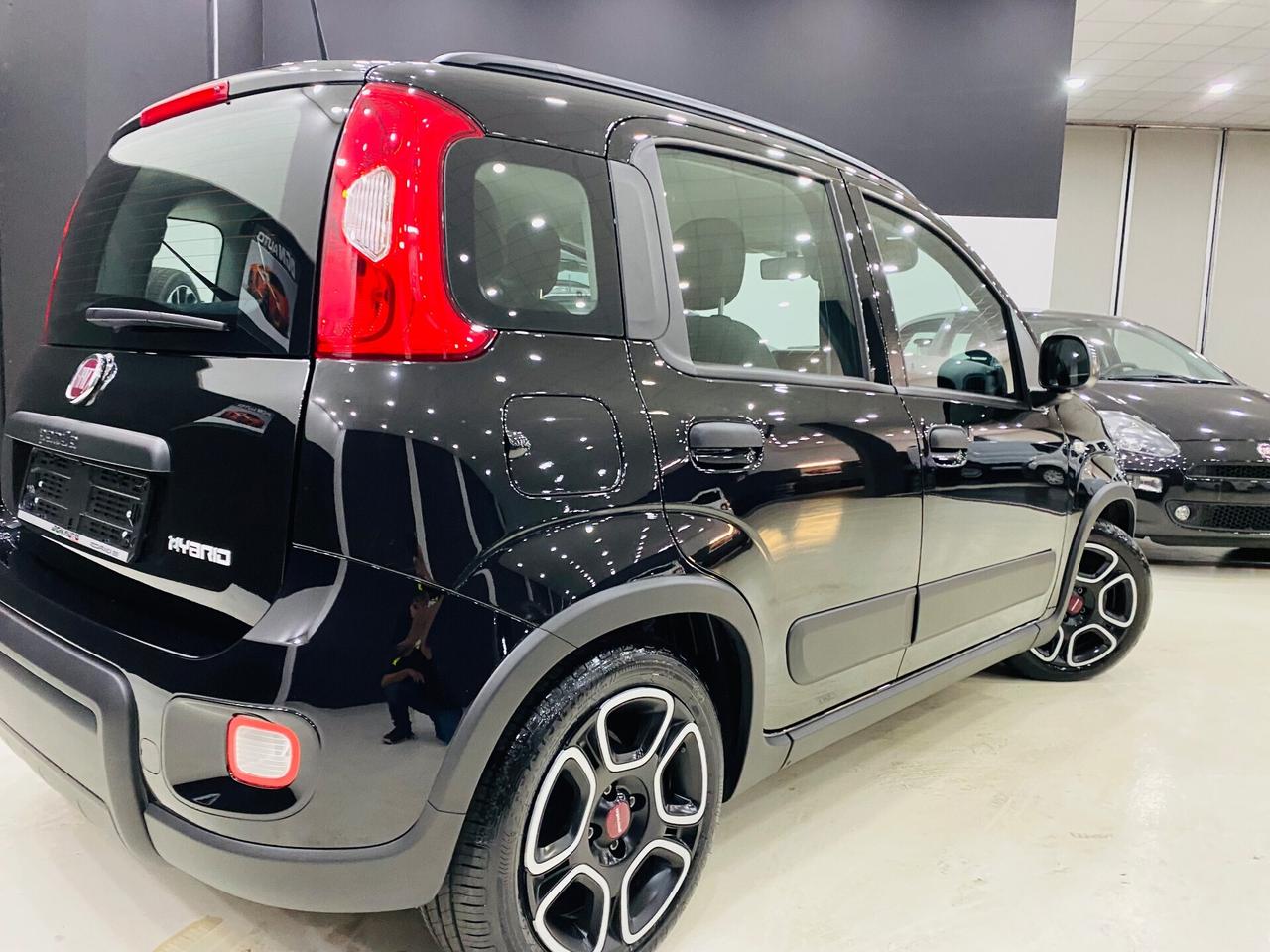 Fiat Panda 1.0 firefly hybrid Sport s Navy CarPlay