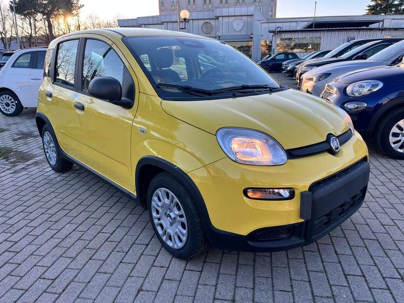 FIAT Panda 1.0 FireFly S&S Hybrid Pandina