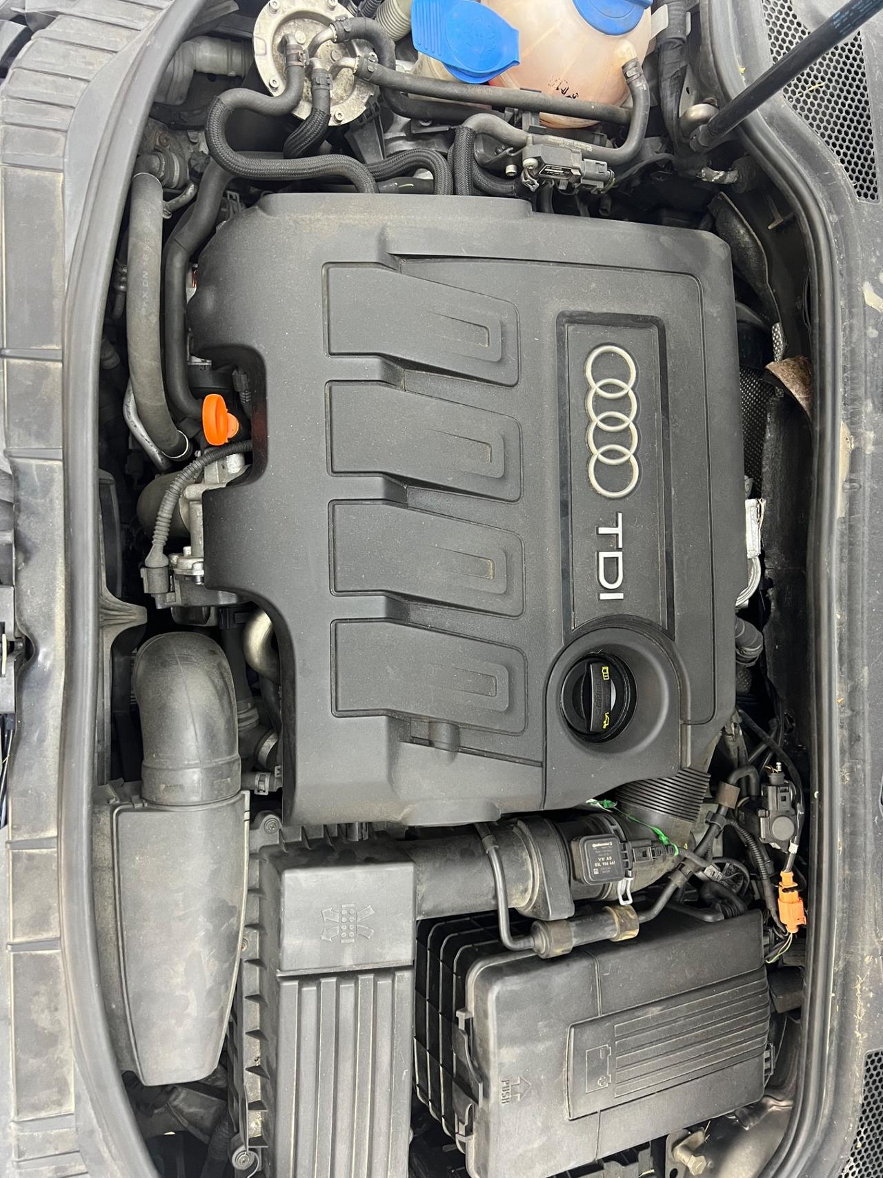 Audi A3 1.6 TDI CR F.AP. Young Edition