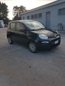 Fiat Panda 1.0 FireFly S&S Hybrid Launch Edition