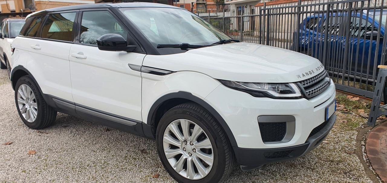 Land Rover Range Evoque 2.0 TD4 150 CV 5p. SE Dynamic