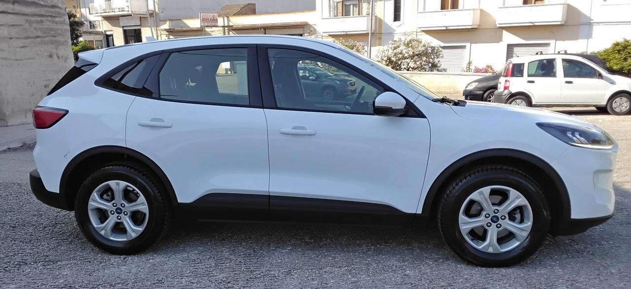 Ford Kuga 1.5 EcoBlue 120 CV aut. 2WD Titanium Business