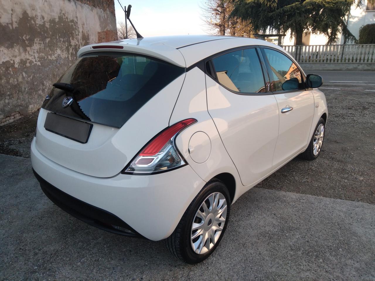 Lancia Ypsilon 1.2 69 CV 5 porte S&S Platinum x neopatentati