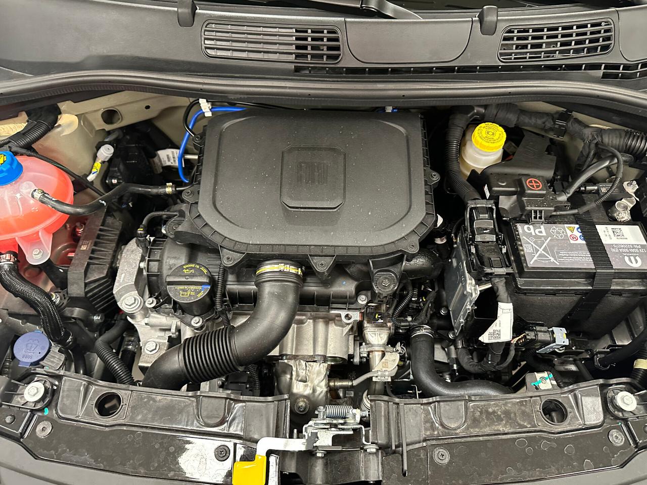 Fiat Panda 1.0 FireFly S&S Hybrid 70 CV KM0 - 2025