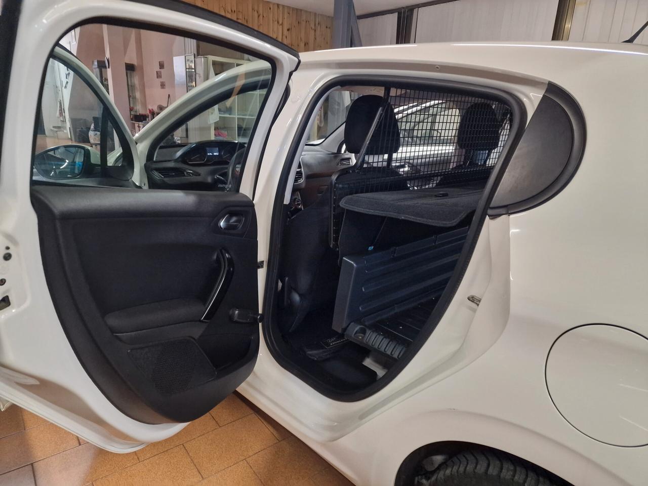 Peugeot 208 BlueHDi 100 S&S 5 porte Van Active