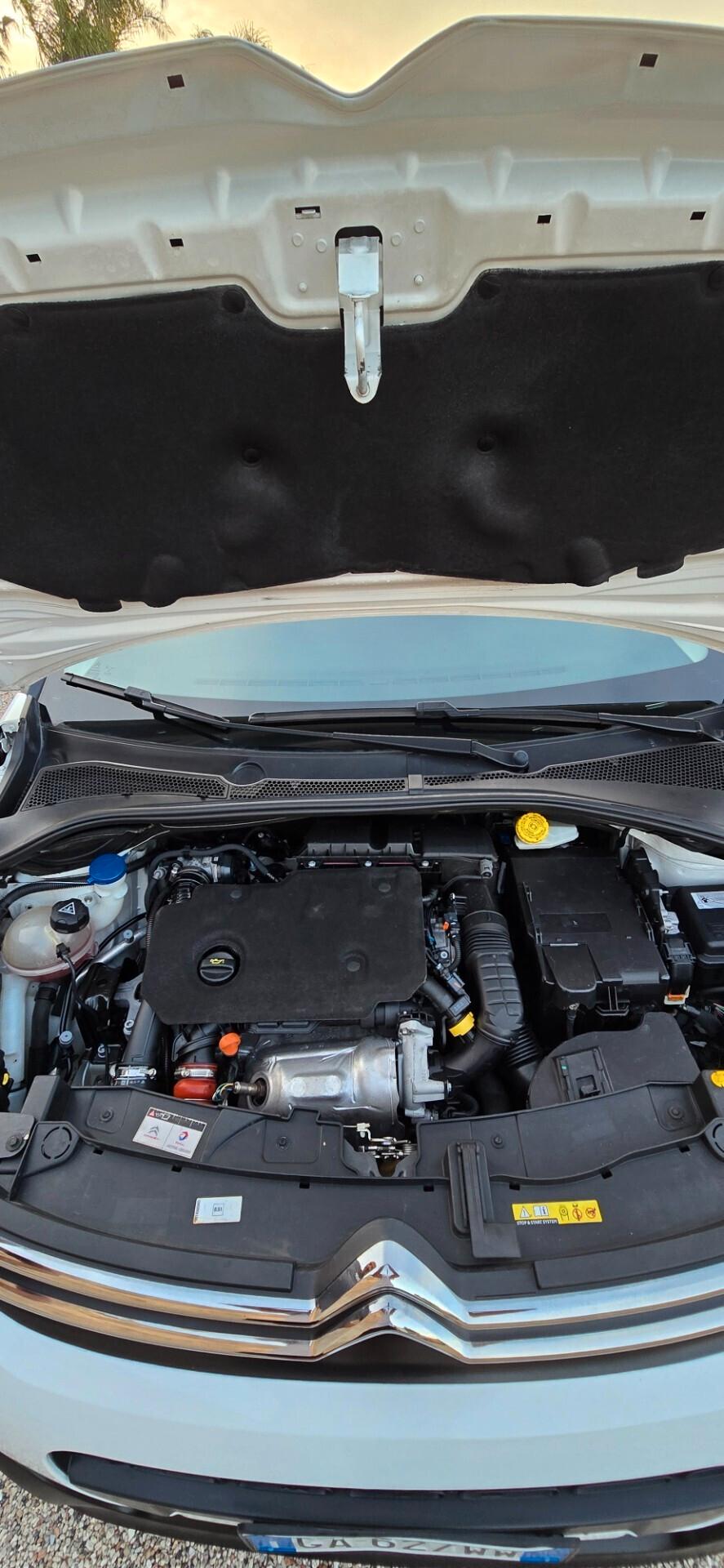 Citroen C3 2020 Citroen c3 BlueHdi Shine tagliandata con fatture