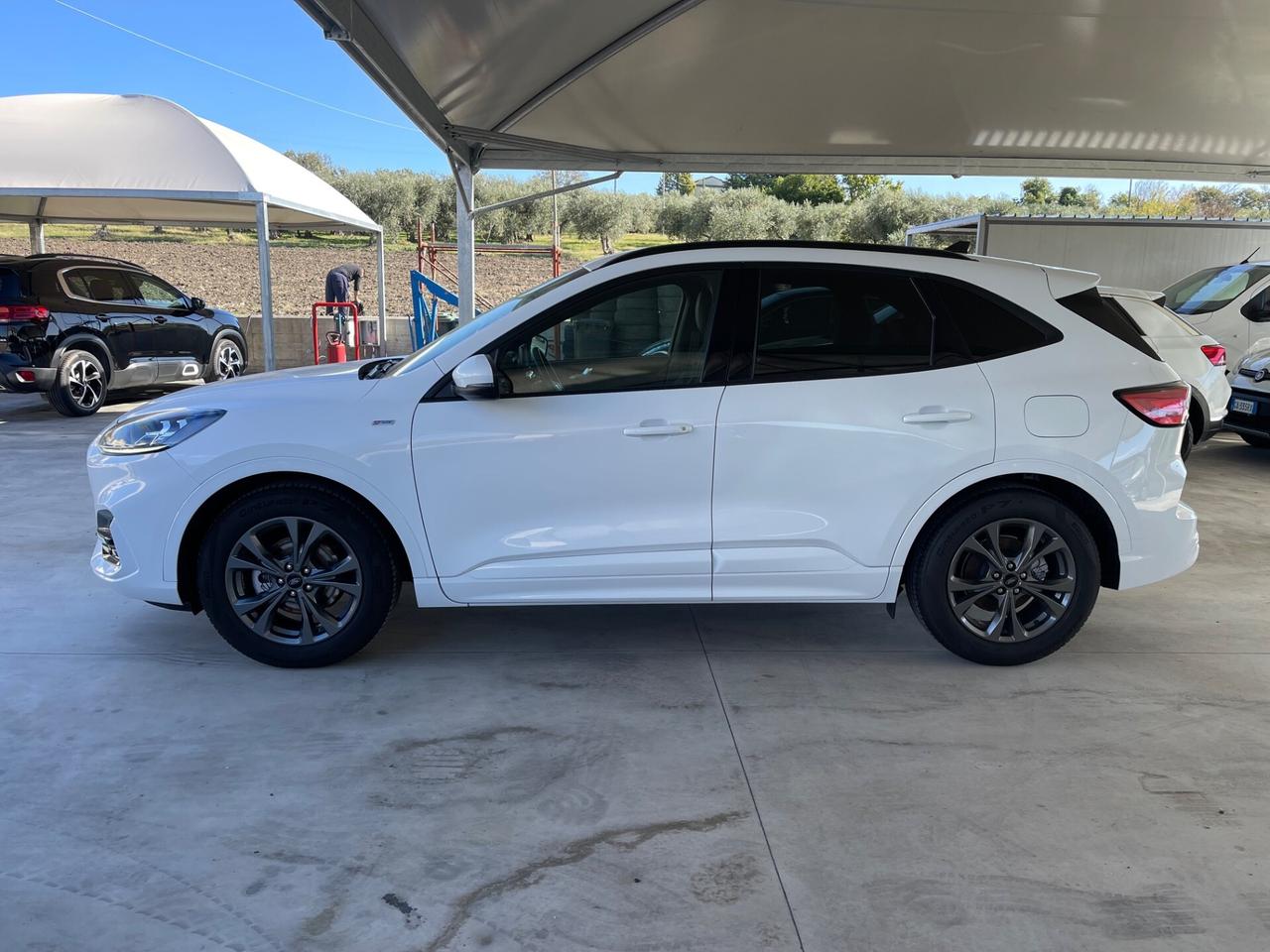 Ford Kuga 1.5 EcoBlue 120 CV aut. 2WD ST-Line