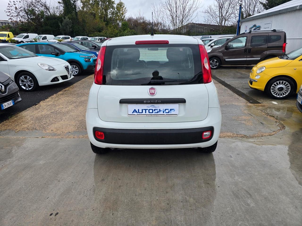 Fiat Panda 1.2 Young