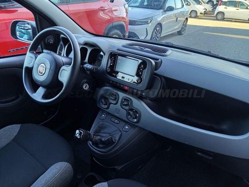 FIAT Panda Panda 1.0 firefly hybrid City Life s&s 70cv 5p.ti