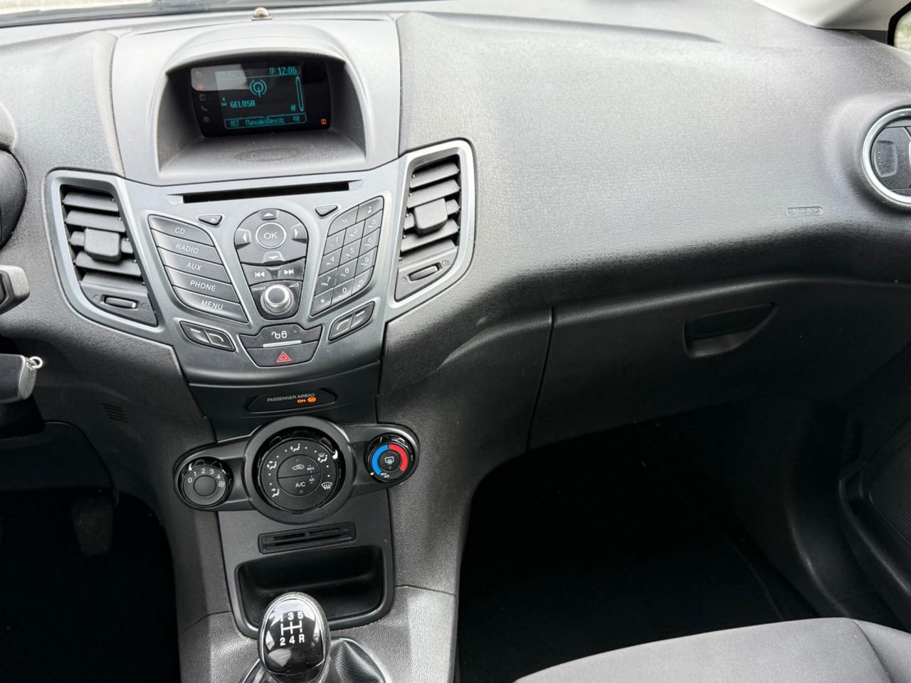 Ford Fiesta 1.4 5 porte Bz.- GPL Black & White Edition