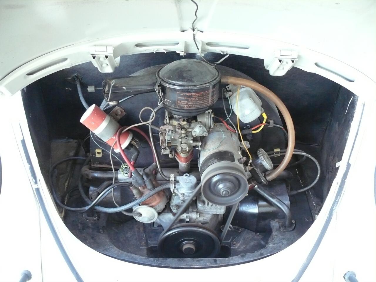 Volkswagen Maggiolino VETRO PIATTO (M1260)