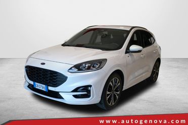 FORD KUGA 2.0 ECOBLUE 120CV POWERSHIFT 2WD ST-LINE ( FARI LED - COCKPIT - CRUISE - NAVI - MIRROR - PDC - TELECAMERA POST. - CERCHI 19 )