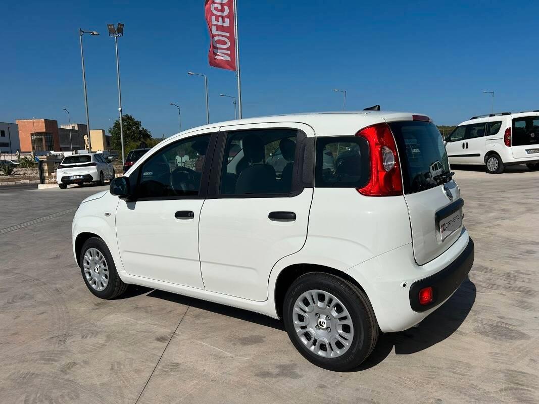 Fiat Panda 1.0 firefly hybrid s&s 70cv 5p.ti