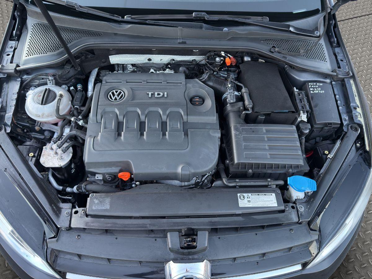 VOLKSWAGEN - Golf - 1.6 TDI 105cv 5p. Highline BlueMotion Technology