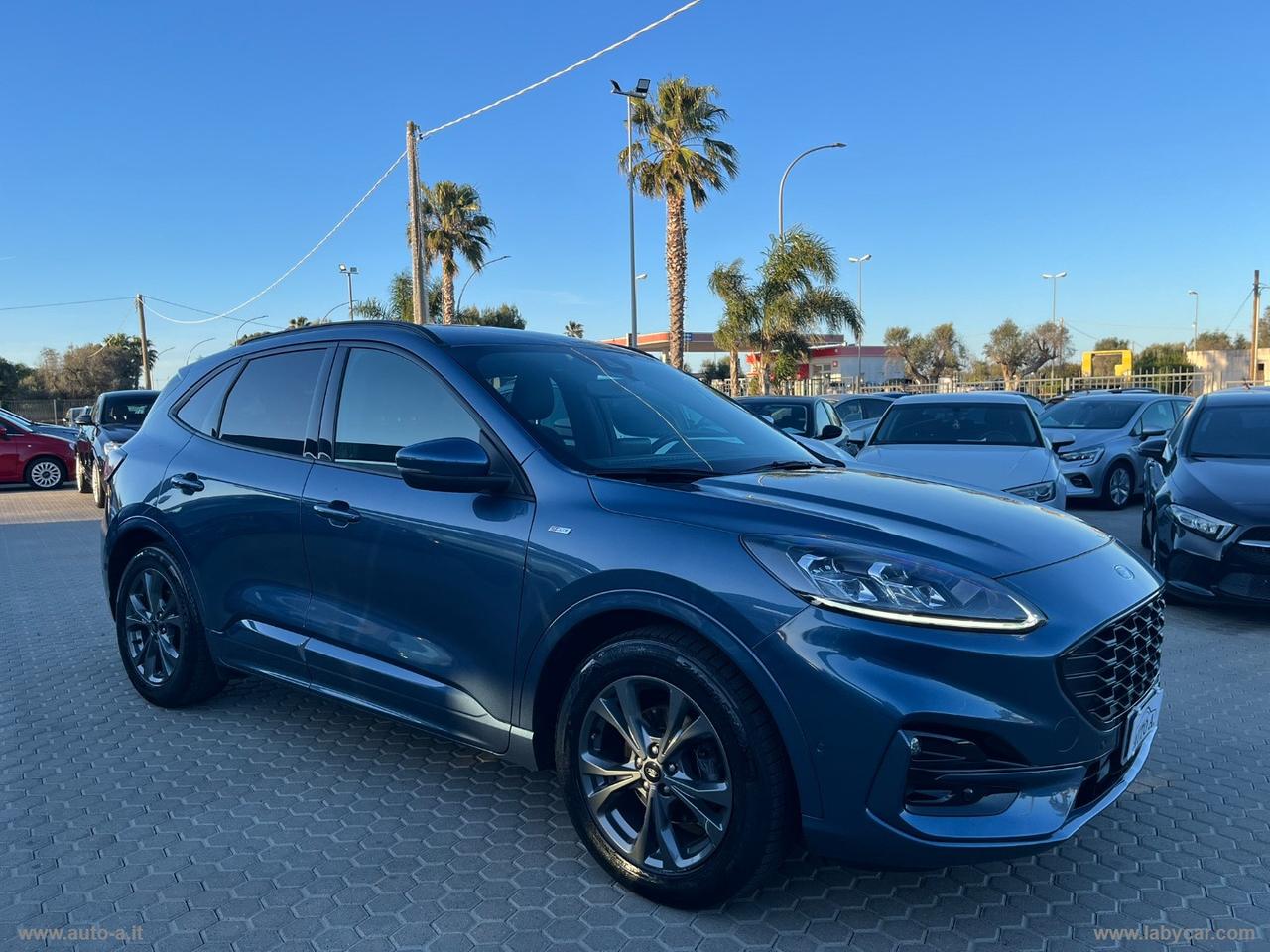 FORD Kuga 1.5 EcoBlue 120 CV aut. 2WD ST-Line